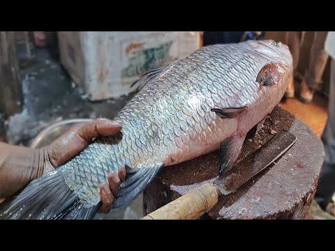 Fish Cutting Skills || GREAT!! Huge Katla Fish Cutting By professional Fish Cutter ||