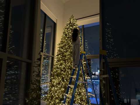 Two Days to Set Up Giant Christmas Tree ๐๐
๐ผ