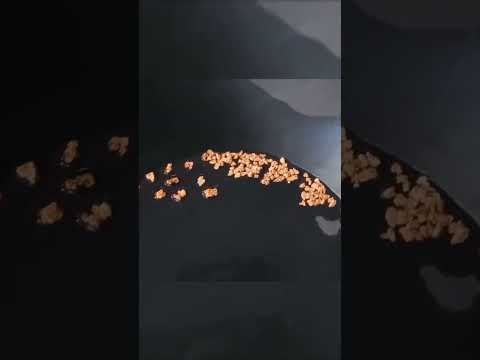 नदी में मिलने वाले सोने के रहस्य का राज |Gold River In India| #shorts #youtubeshorts #shortsvideo