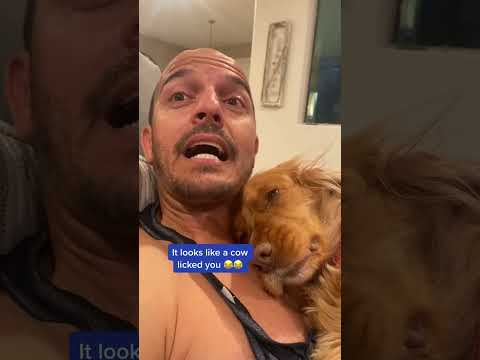 Husband Rates my Laminated Eyebrows