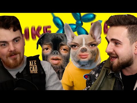 Koukáme se na pejsky v Like Hafu!