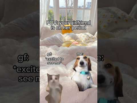 time of the month for gf ?❤️ #cat #cattomemes #catmemes #funny #relatable #pets #catshorts #cats