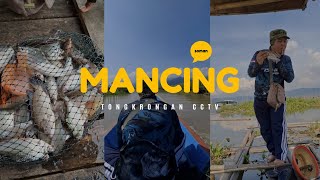 umpan lumut dan nutul umpan cacing hasil lumayan lah ‼️ fishingvideo #portrait