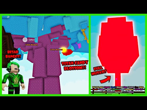 Aku Berhasil Menanam Pohon Candy Blossom Super Jumbo & Dapat Full Mutasi? - Roblox Grow A Garden