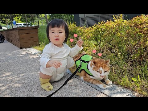 고양이를 너무 좋아하는 아기집사와 산책하는 따스운 일상