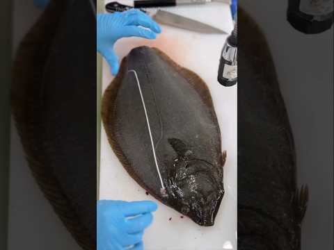 The Most Unique Fish Cutting Technique Of Japan 🐠