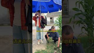 霸道总裁爱薅草搞笑视频霸总