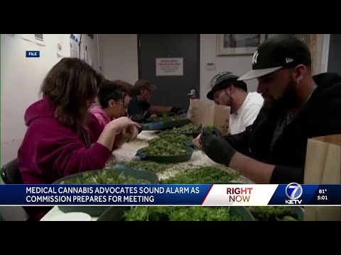 YouTube video thumbnail: Medical Cannabis Advocates Sound Alarm as Commission Prepares for Meeting