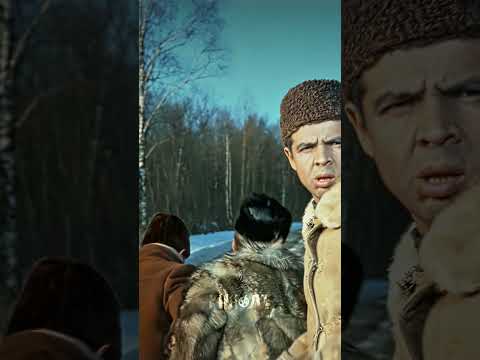 обрили уже #shorts #кино #комедия