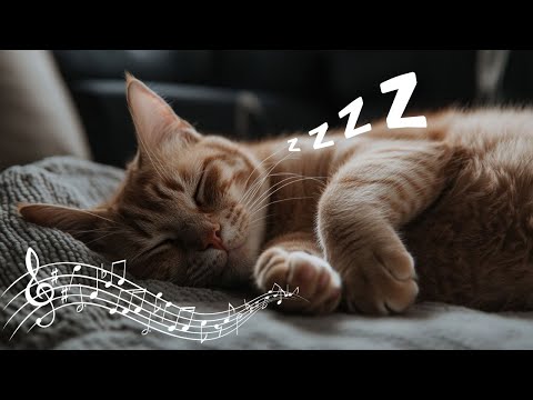 EXTRA-LONG Calming Music for Cats - 12 Hours of Anti Anxiety Lullabies