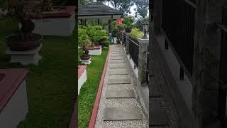 taman surga #bonsai