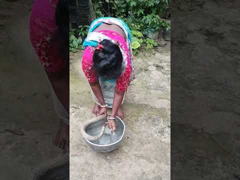 snake video #shorts #shortsfeed #viralshorts #short #sikirtan