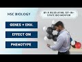 Phenylketonuria and Genetic Studies