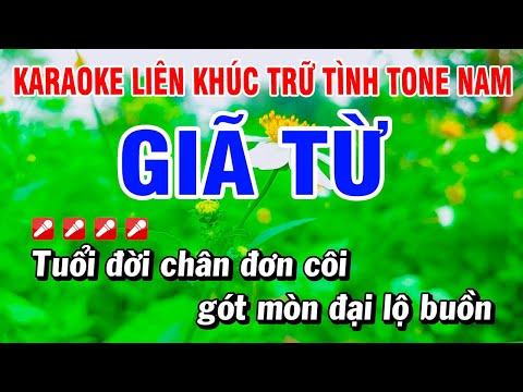 Karaoke Liên Khúc Trữ Tình Nhạc Sống Tone Nữ Dễ Hát – Giã Từ Âm Thanh Đặc Sắc | Hoài Phong Organ