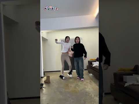 Hoán đổi phong cách cùng Châu Châu và Tiểu Quản #haihuoc #funny #chauchau