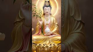 Niệm PHật mỗi ngày