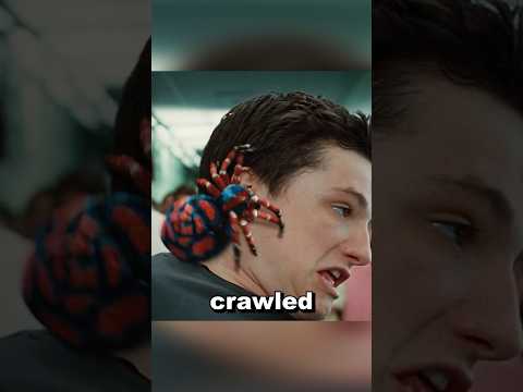 Spiderman From Wish?