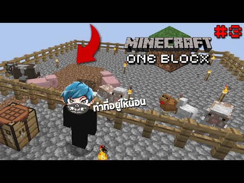 Minecraft One block ทำที่อยู่ให้น้อนๆ ใหญ่มาก555+ 3