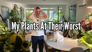 My Collection is suffering - Full Plant Tour (House & Garden)