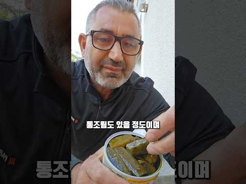 레몬과 함께 먹는 나뭇잎말이