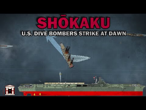 U.S. Bombers Strike IJN Carrier Shōkaku: The Battle of the Coral Sea, 1942 - Animated