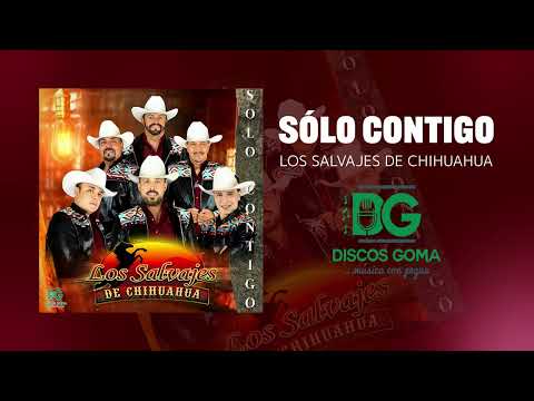 Sólo Contigo - Los Salvajes de Chihuahua [Audio Oficial]