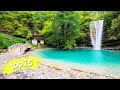 වීඩියෝ පාඩම මත පදනම් වූ විභාගය