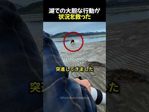 湖での大胆な行動が状況を救った