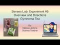 Gymnema Tea Experiment Procedures