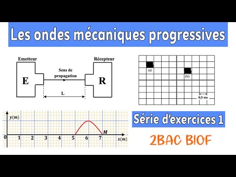 2BAC BIOF : Série d'exercices 1 - Les ondes mécaniques progressives