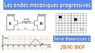 2BAC BIOF : Série d'exercices 1 - Les ondes mécaniques progressives