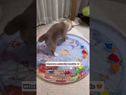 POV: You got the AquaKitty Mat from LavensiPurr 🐾🤩  #catsofyoutube #cat #pets #play #yourcat