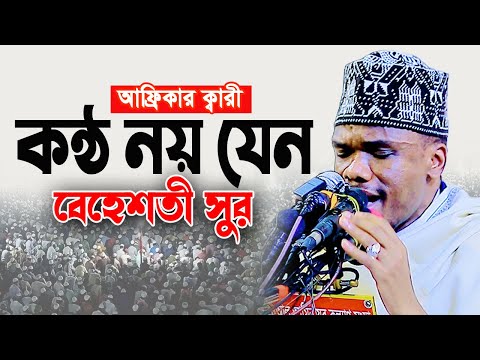 কন্ঠ নয় যেন বেহেশতী সুর। Qari Fardan Adam African Quran Tilawat 2025, Sweet Quran Tilawat 2025