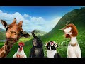 Understanding Video Playback Speeds