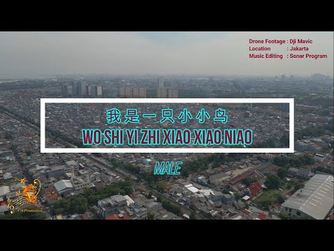 Wo She Yi Zhi Xiao Xiao Niao ( 我是一只小小鸟 ) For Male – Karaoke mandarin with drone view