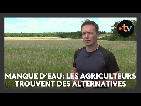 Face au manque d'eau, les agriculteurs trouvent des solutions alternatives
