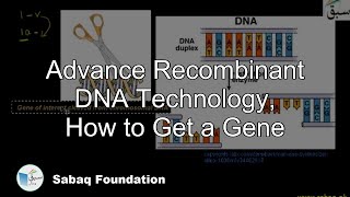 Advance Recombinant DNA Technology, How to Get a Gene