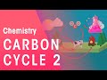 Understanding the Carbon Cycle and Human Impact