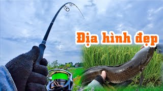 Địa hình cỏ và bãi câu vùng này rất nhiều cá | THÚ VUI MIỀN TÂY. 57