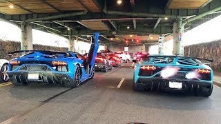Lamborghini V12 Heaven On Exotic Car Showdown New York