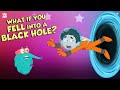 Exploring Black Holes