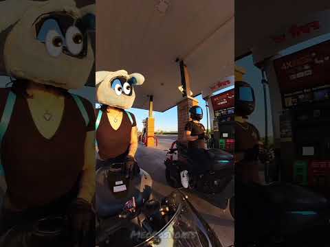 Let's Go๐ฅโจ๐๏ธ#race#racelover#ktmlover#dukelover#trending#top#viral#meocoshorts#shorts#fyp