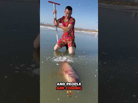 Grand Father Saved This Fish's Life 🐟💞 | #shorts #youtubeshorts