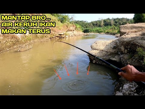 Mancing Di Air Keruh Ikan Makan Terus ini Umpannya bro.. #LM01