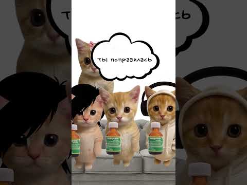 Как работает комплекс Золушки? Кисы объясняют 😻