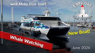 Moby Dick-Tours Whale Watching - New Boat!