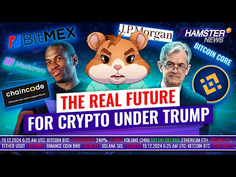 Trump’s impact on crypto, first BNB fund in US, Young Bitcoin genius ⚡️ Hamster News