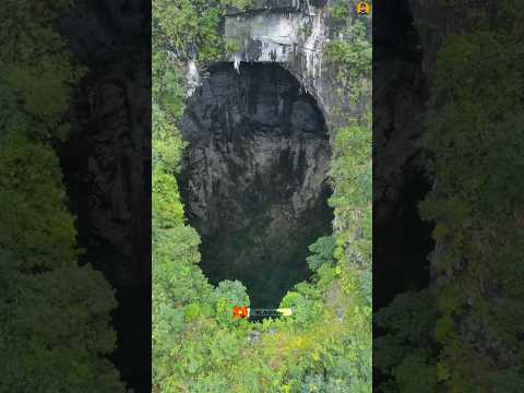 They accidently discovered this cave | Mysterious place #shorts