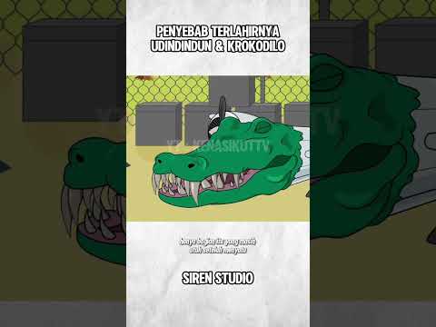 AWALMULA KROKODILO DAN UDINDINDUN MADINDUN!! #alurcerita