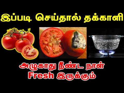 இப்படி செய்தால் தக்காளி அழுகாது நீண்ட நாள் Fresh இருக்கும் | Happyvasu |Tamil Voice over |#tips #how